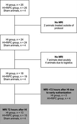 Remote ischemic postconditioning increased cerebral blood flow and oxygenation assessed by magnetic resonance imaging in newborn piglets after hypoxia-ischemia